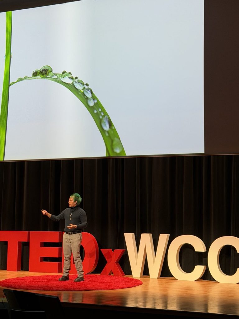 Speaker in a dark sweater and grey pants standing on TEDxWCC stage, gesturing while presenting, with a large projected image above showing a green leaf with water droplets against a light background